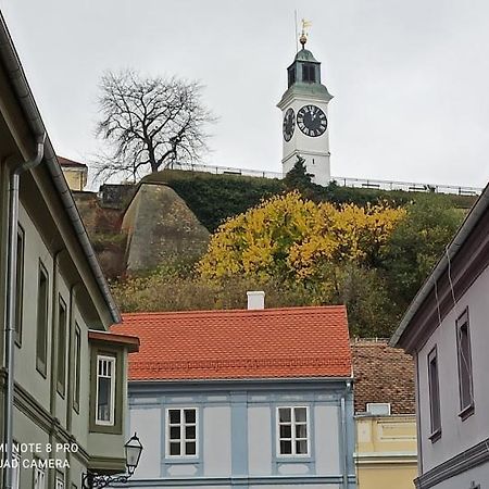 Zlatica Pétervárad Kültér fotó